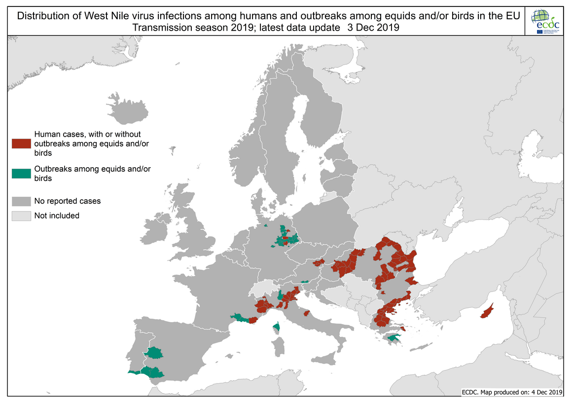 West Nile virus outbreaks among humans and animals in the European Union, 2019 transmission season