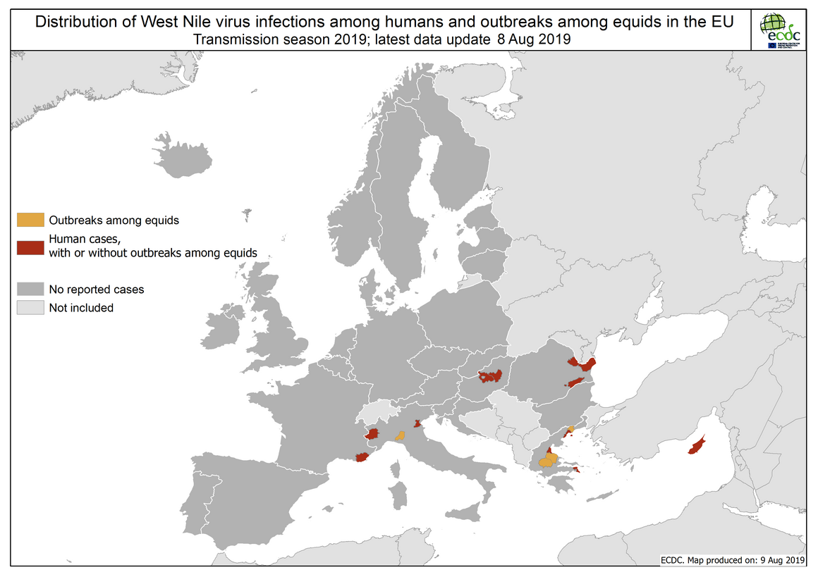 West Nile virus in Europe in 2019 - human and equine cases, updated 8 August