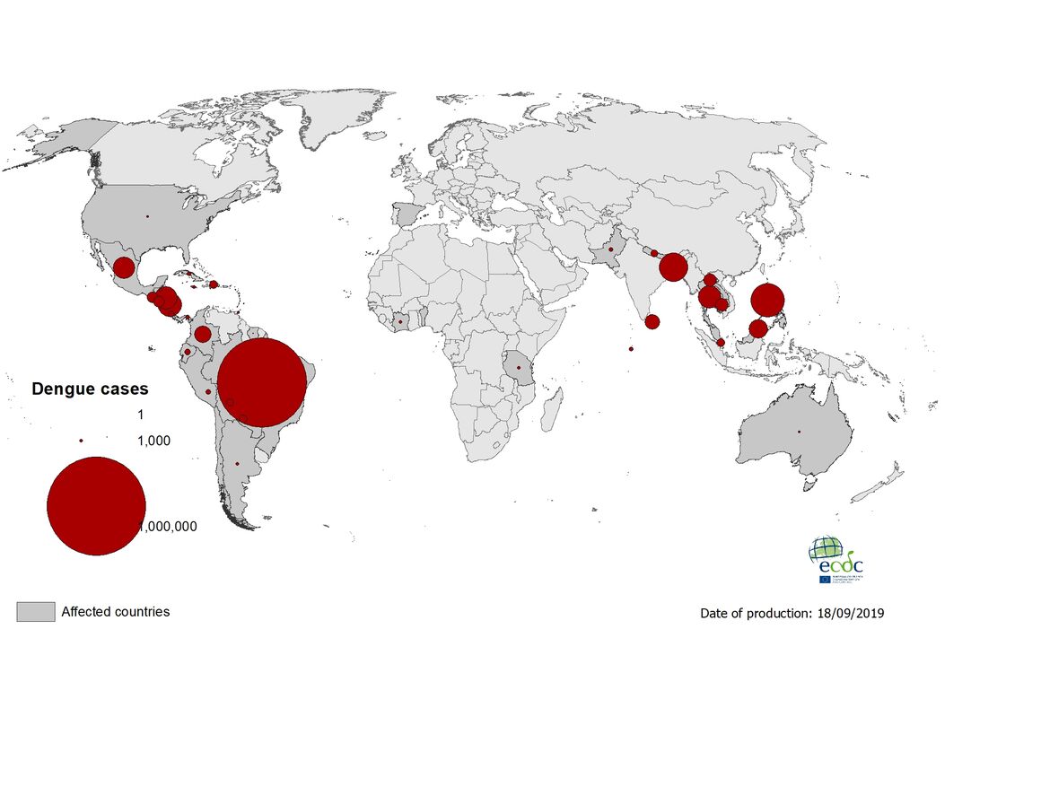 Dengue cases worldwide 20 September 2019