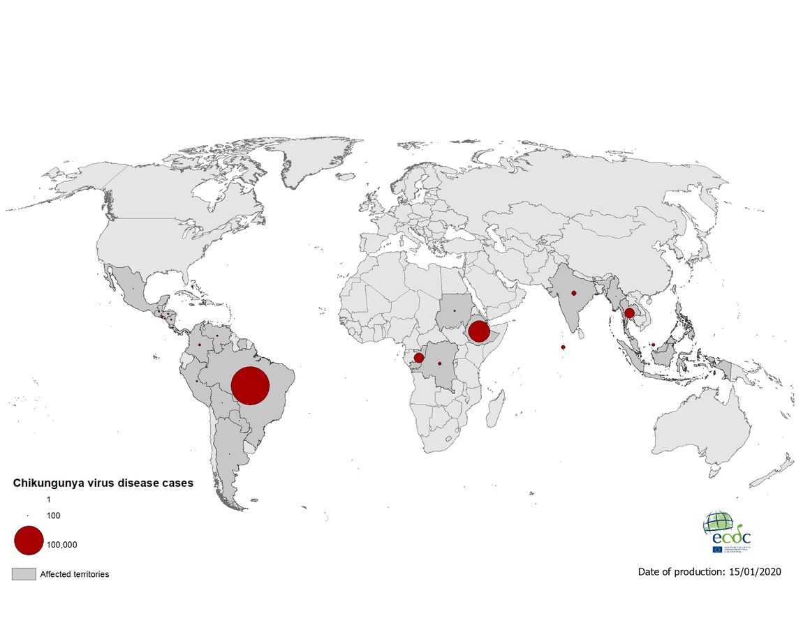 Geographical distribution of chikungunya cases reported worldwide in 2019