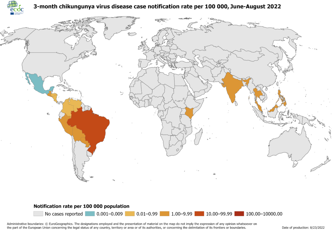 Notification rate of chikungunya cases reported worldwide, June to August 2022