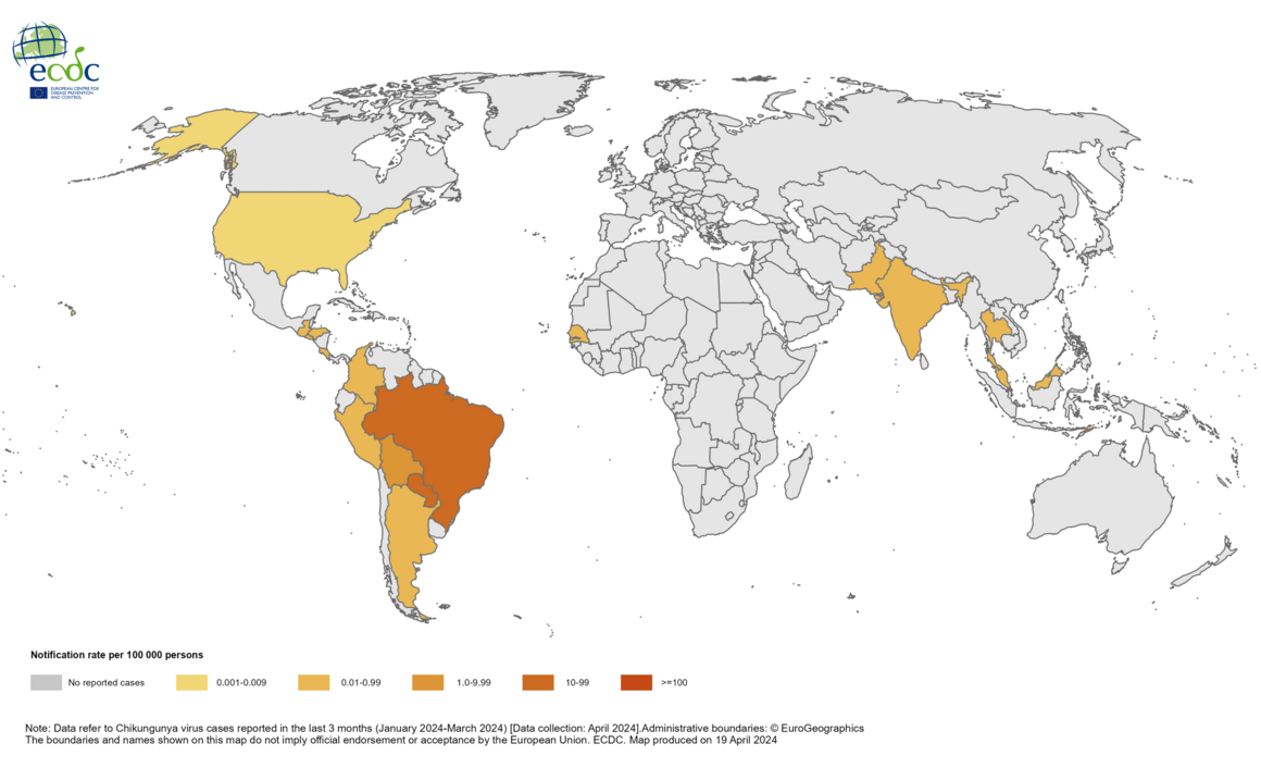 Three-month Chikungunya virus disease case notification rate per 100 000 population, January—March 2024