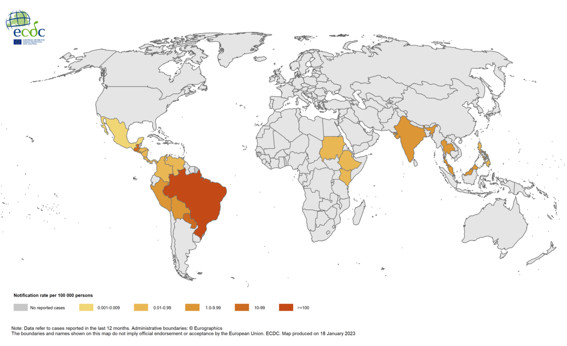 Chikungunya virus disease cases, January–December 2022