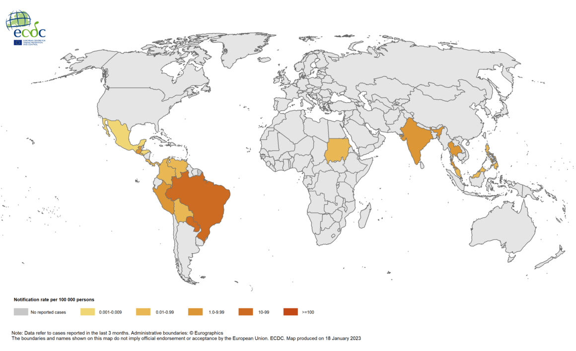 Three-month chikungunya virus disease case notification rate per 100 000 population, October–December 2022