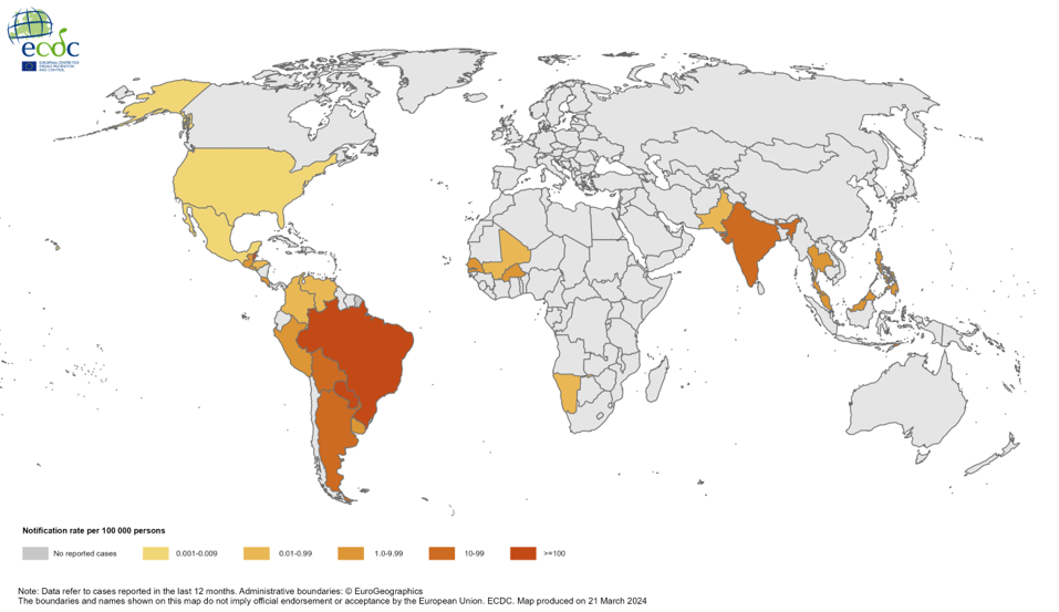 12-month Chikungunya virus disease case notification rate per 100 000 population, March 2023-February 2024