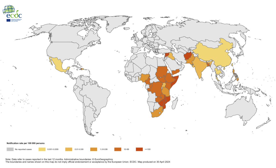 Geographical distribution of cholera cases reported worldwide from April 2023 to March 2024