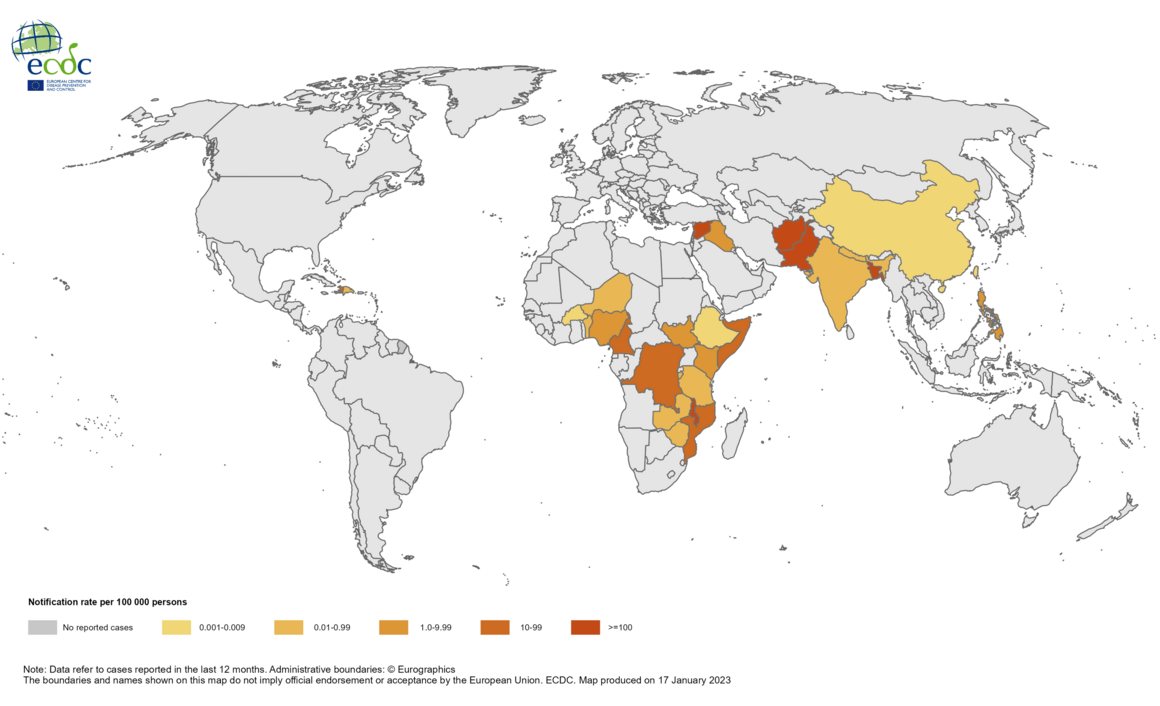 Geographical distribution of cholera cases reported worldwide from January 2022 to January 2023