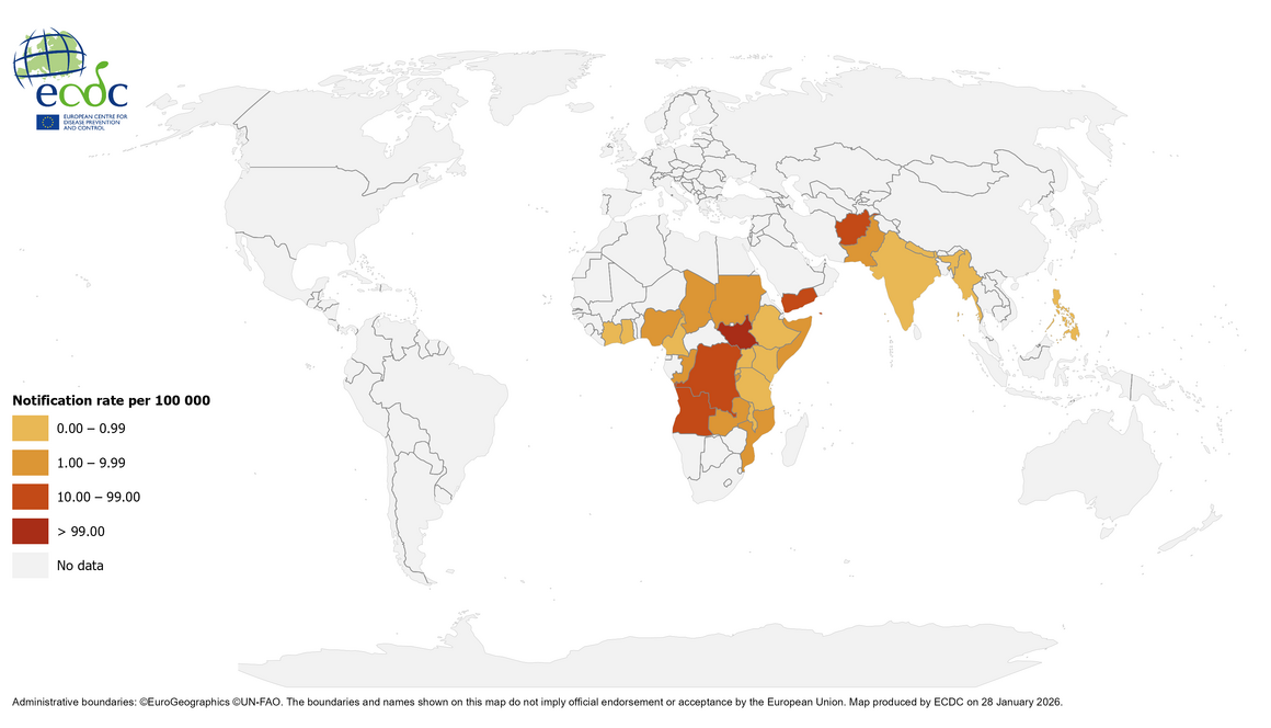 Geographical distribution of cholera cases reported worldwide from November 2025 to January 2026