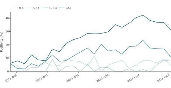 Figure 2. Proportion of COVID-19 cases among people hospitalised with severe infections by age group, weeks 25-48/2023 *