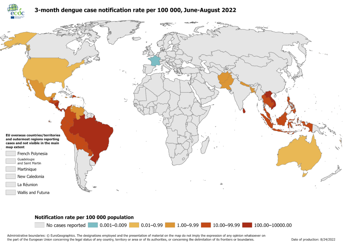 Geographical distribution of dengue cases reported worldwide, June to August 2022