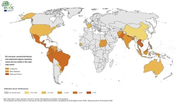 dengue map