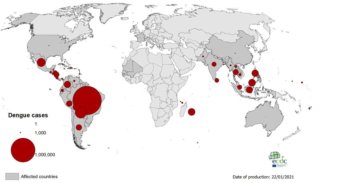 Geographical distribution of dengue cases reported worldwide, 2020