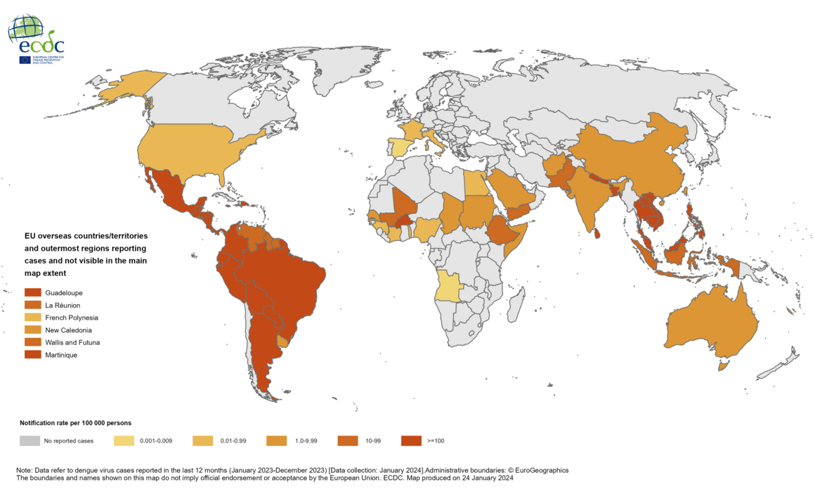 Dengue cases January-December 2023