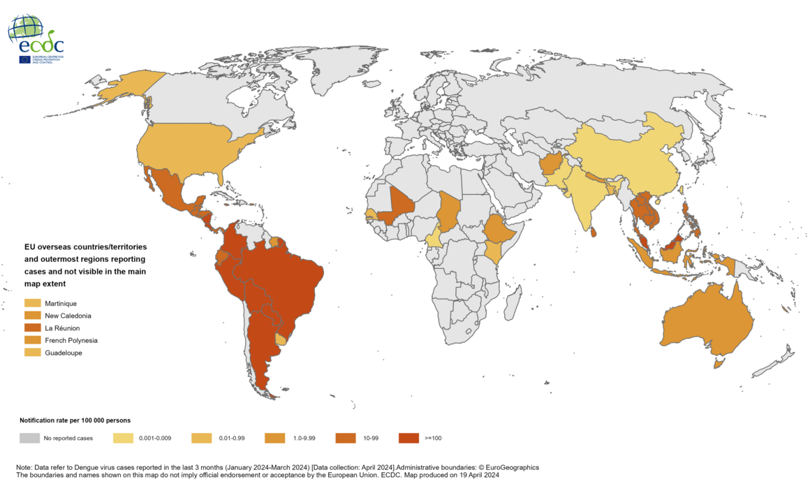 Three-month dengue virus disease case notification rate per 100 000 population, January—March 2024
