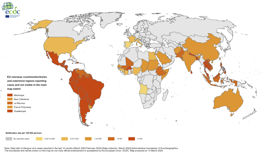 12-month dengue virus disease case notification rate per 100 000 population, March 2023-February 2024