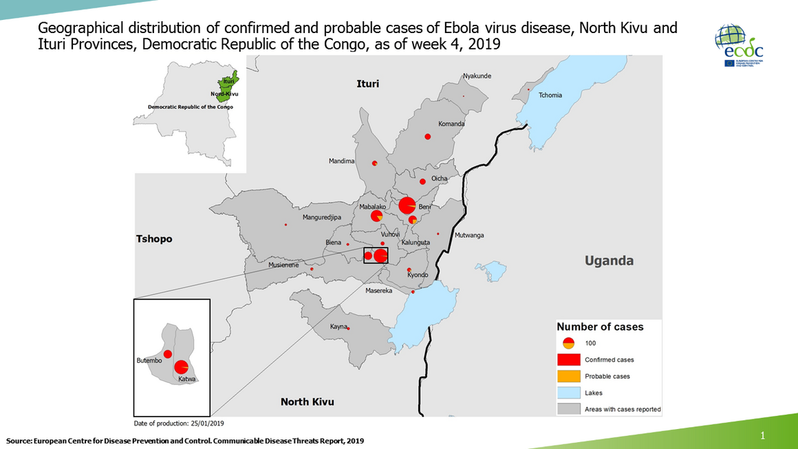 Geographical distribution of confirmed and probable cases of Ebola virus disease, North Kivu and Ituri Provinces, Democratic Republic of the Congo, as of week 4, 2019
