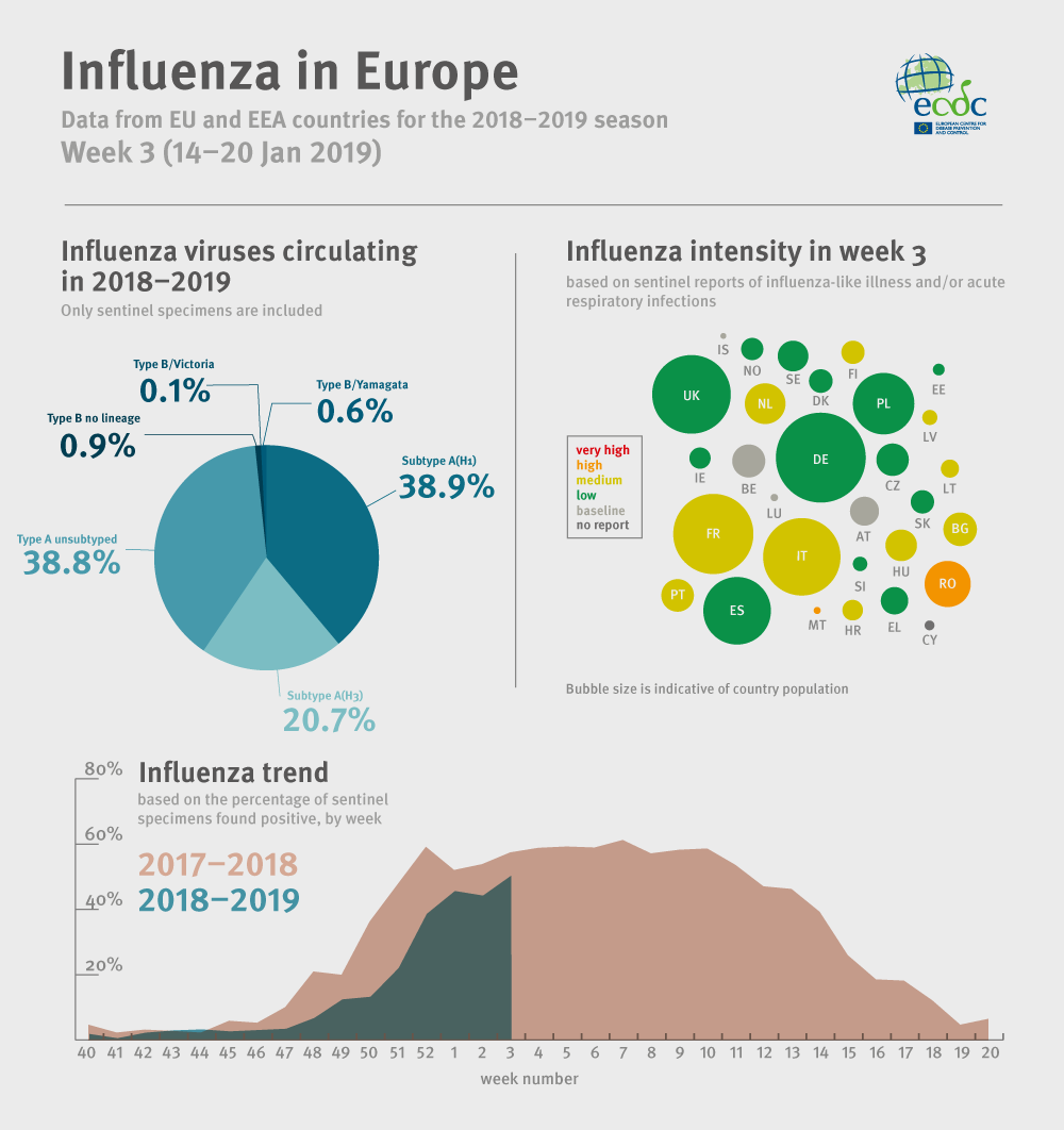 Weekly influenza update, week 3, January 2019