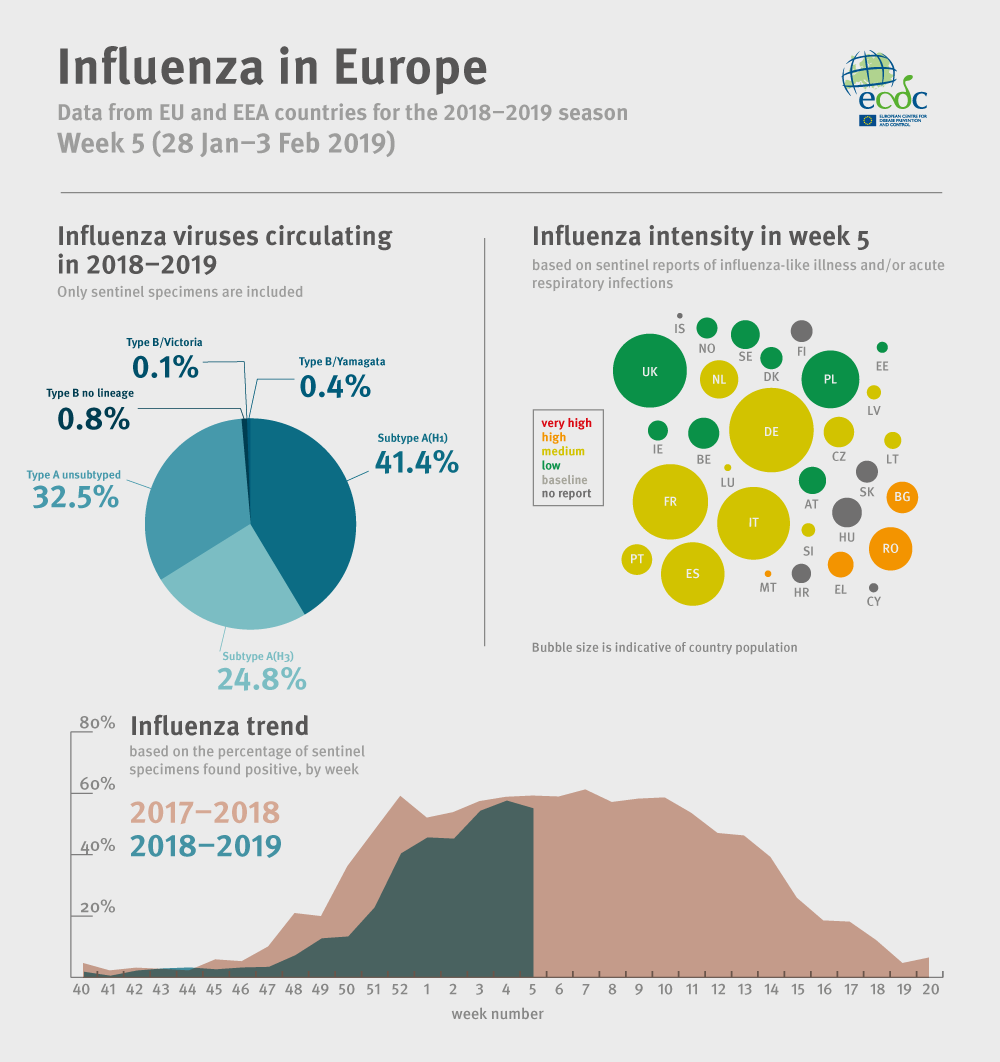 Weekly influenza update, week 5, January - February 2019
