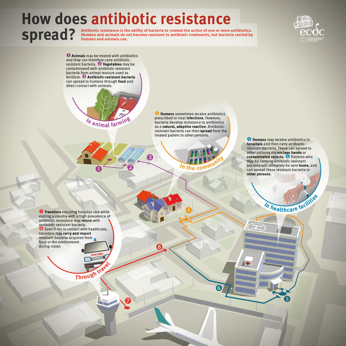 Infographic explaining how antibiotic resistance spreads