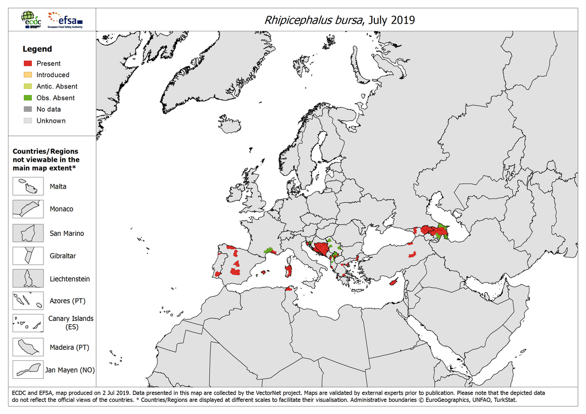 Map, Rhipicephalus bursa - current known distribution: July 2019