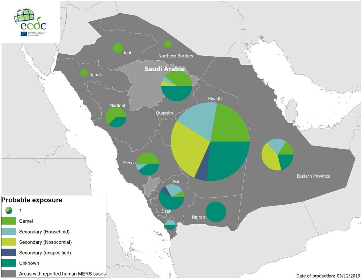 Geographical distribution of confirmed MERS-CoV cases by probable region of infection and exposure in 2019, Saudi Arabia, as of 2 December 2019