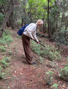 Active collection from mosquito resting sites by fellow, using a Prokopack aspirator