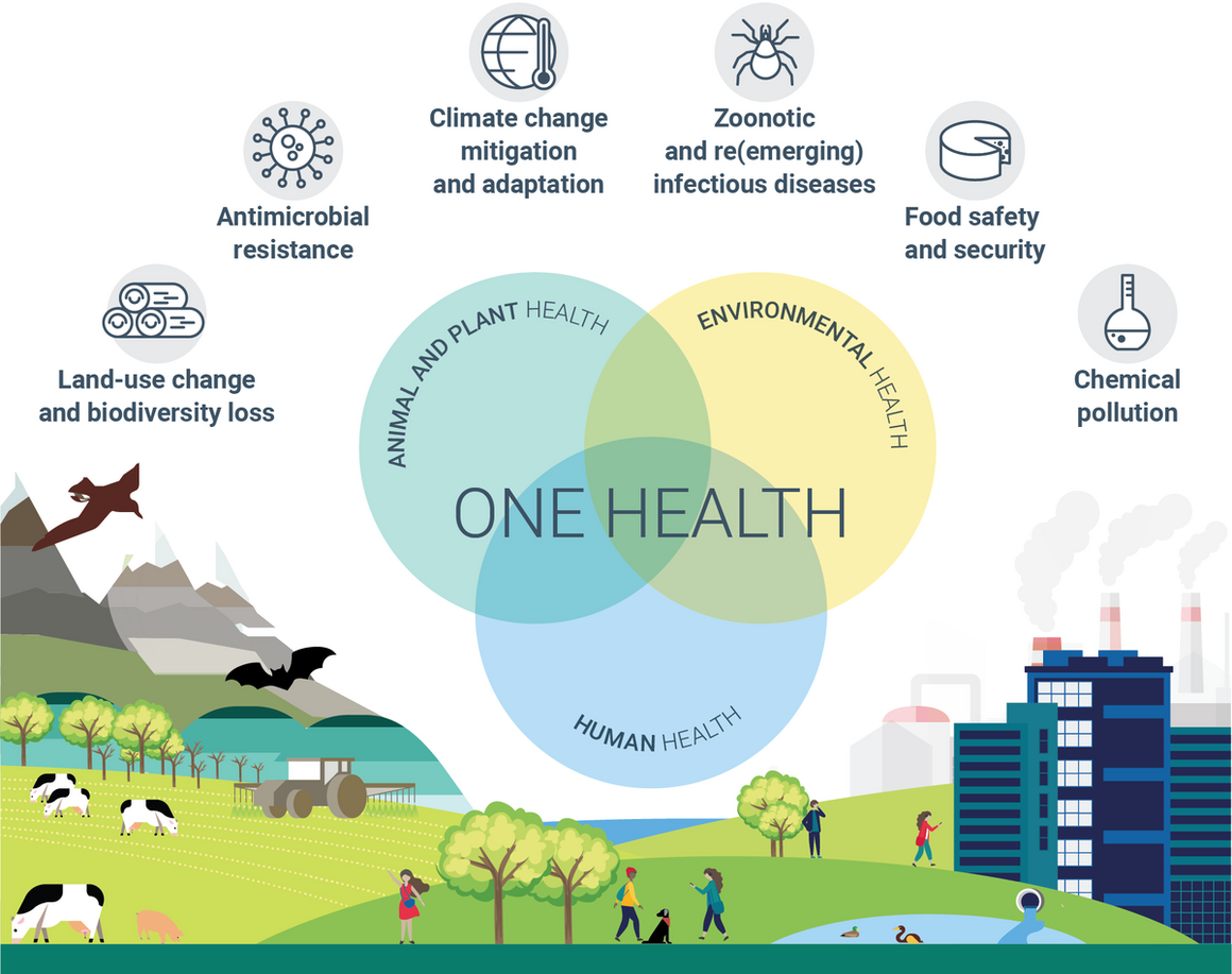 One health - EEA