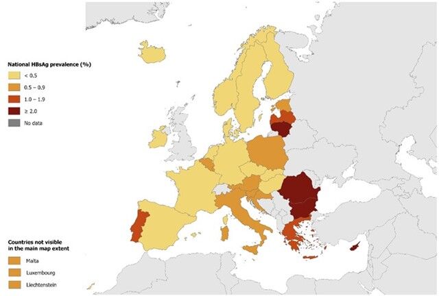 Prevalence of hepatitis B in the EU/EEU 2024 