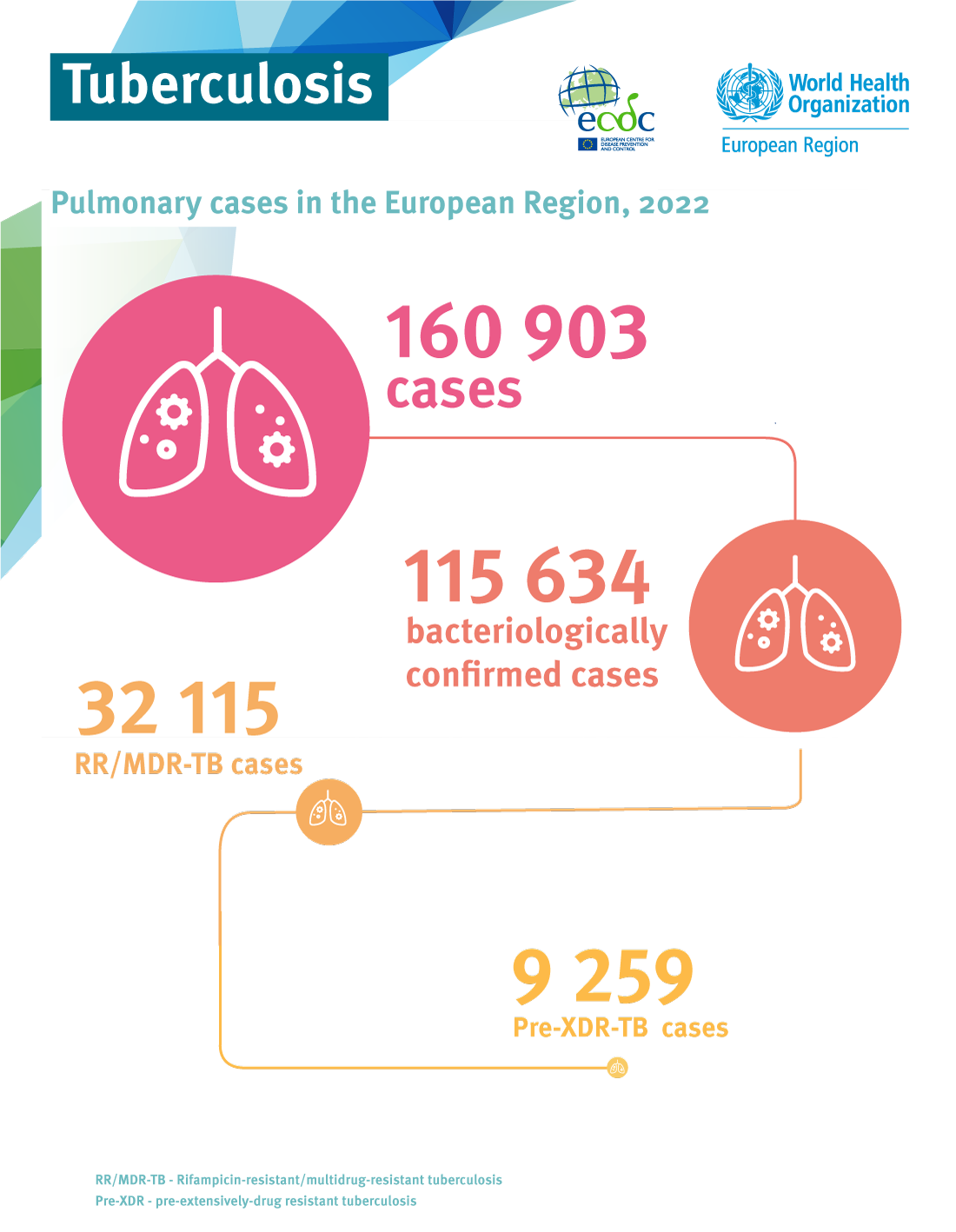 Pulmonary TB cases in the European Region, 2022