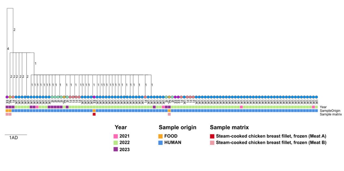Figure 1. Single linkage cluster tree of 100 human and four S. Mbandaka ST413 outbreak isolates, as of 15 March 2024