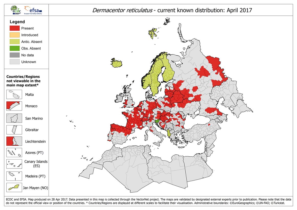 Map of the distribution of Dermacentor reticulatus ticks in Europe, as of April 2017