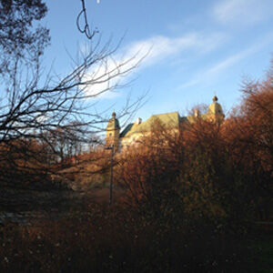 EPIET Postcard from the field - Landscape with a forest and castle, during workshop on health care associated infections, landscape in Warsaw, Poland, 25-26 November 2013