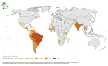 12-month Chikungunya virus disease case notification rate per 100 000 population, November 2022-October 2023