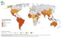 Twelve-month dengue virus disease case notification rate per 100 000 population, August 2024-July 2025