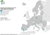 West Nile virus outbreaks among equids and birds, 2021 transmission season