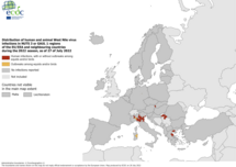 West Nile virus in Europe in 2022 - infections among humans and outbreaks among equids and/or birds, updated 27 July 2022