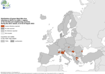 West Nile virus in Europe in 2022 - human cases, updated 11 August 2022