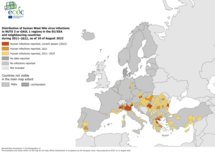 West Nile virus in Europe in 2022 - human cases compared to previous seasons, updated 11 August 2022