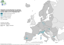 West Nile virus in Europe in 2022 - outbreaks among equids and/or birds, updated 22 September 2022
