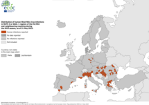 West Nile virus infections, 2022 transmission season - human cases