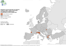 West Nile virus - human cases, 2 August 2023