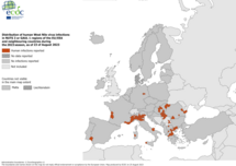 West Nile virus - human cases, 23 August 2023