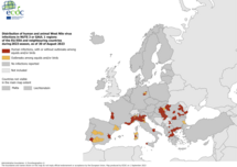West Nile virus - infections among humans and outbreaks among equids and/or birds, 30 August 2023