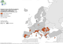 West Nile virus - human cases, 22 November 2023