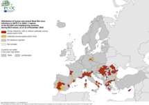 West Nile virus - infections among humans and outbreaks among equids and/or birds, 22 November 2023