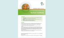 Cover of the Giardiasis AER for 2016 Thumbnail