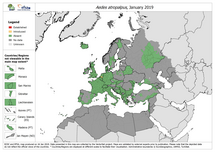 Aedes atropalpus - current known distribution: January 2019 Thumbnail