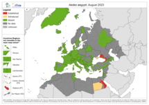 Aedes aegypti - current known distribution: August 2023
