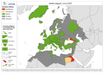 Aedes aegypti map June 2025