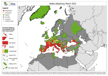 Aedes albopictus - current known distribution: March 2022